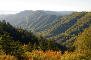 Top 5 Smoky Mountain Webcams to Watch from Home