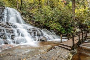 Top 5 Can’t-Miss Hikes in the Smoky Mountains